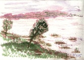 Bent Tree  #33 Watercolor