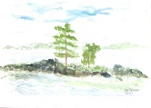 Two Trees #44 Watercolor