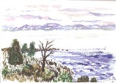 Shoreline #69 Watercolor