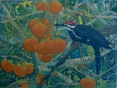Bright Moments III: Pileated Woodpecker Etching