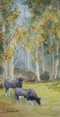 Bovines in Briones Watercolor