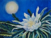 Beauty of the Night:Night Blooming Cereus Watercolor