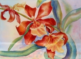 Orange Orchids Watercolor