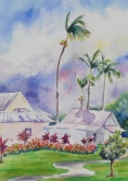 Hawaii Watercolor