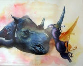 Rhinoceros Watercolor