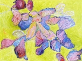 Shelley's Flowers Oil