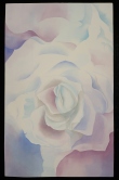 Blue Rose Watercolor