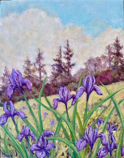 Maeve Croghan's Wild Iris Patch