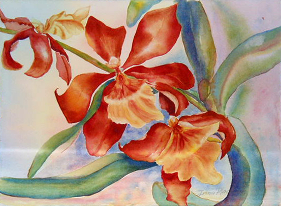 Orange Orchids