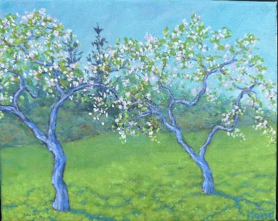 Maeve Croghan's Spring Orchard Blossoms