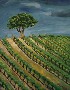 Michelle Mendoza's Vineyard and Tree