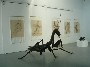 david vanorbeek's praying mantis
