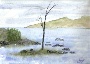 Robert Lowenfels's Lonely Tree #23