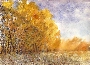 Aleksandr Flegontov's Golden Fall