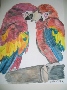 Nami O'Donnell's Macaws