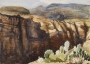 Margaret W. Fago's Canyon Land
