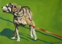 Sharolyn Townsend's Dog and Leash