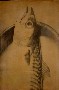 Alan Reid's mackerel canvas
