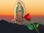Mariella Zevallos's The Apparition of Our Lady of Guadalupe©